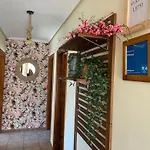 El Hoyaco * Los Espejos de la Reina