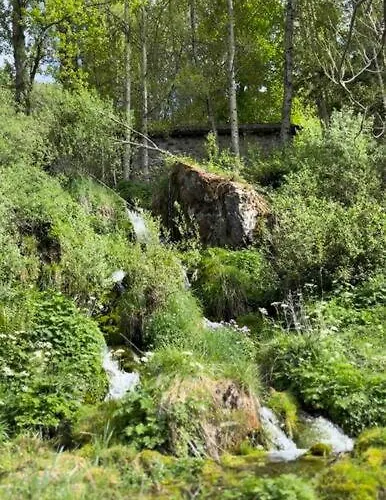El Hoyaco Los Espejos de la Reina